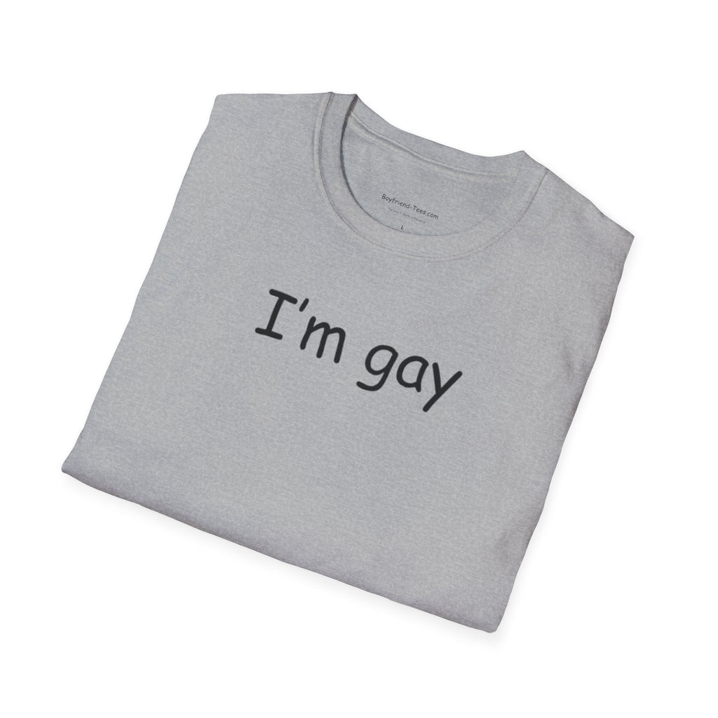 Funny "I'm Gay" Tee shirt, gag gift