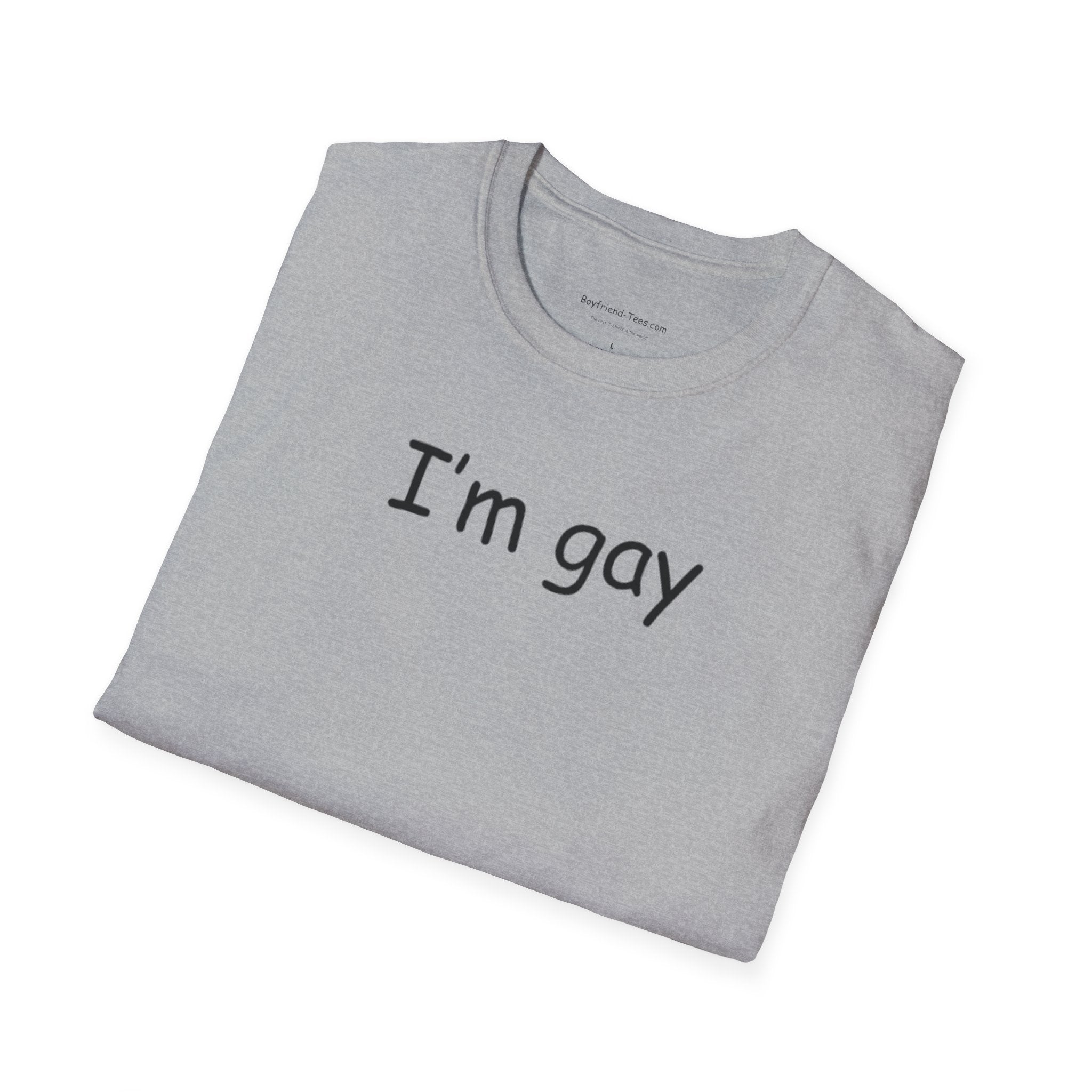 Funny "I'm Gay" Tee shirt, gag gift