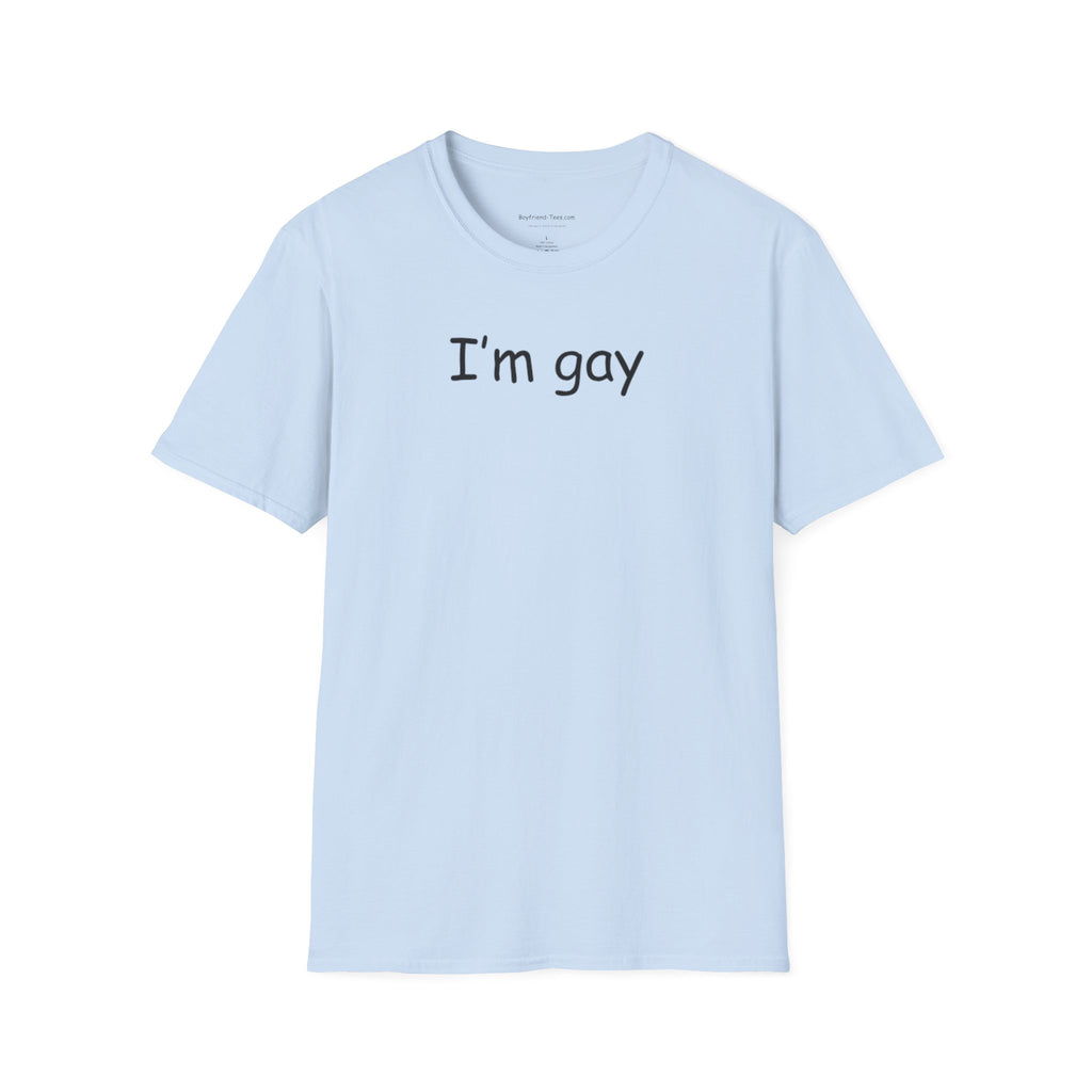 Funny "I'm Gay" Tee shirt, gag gift