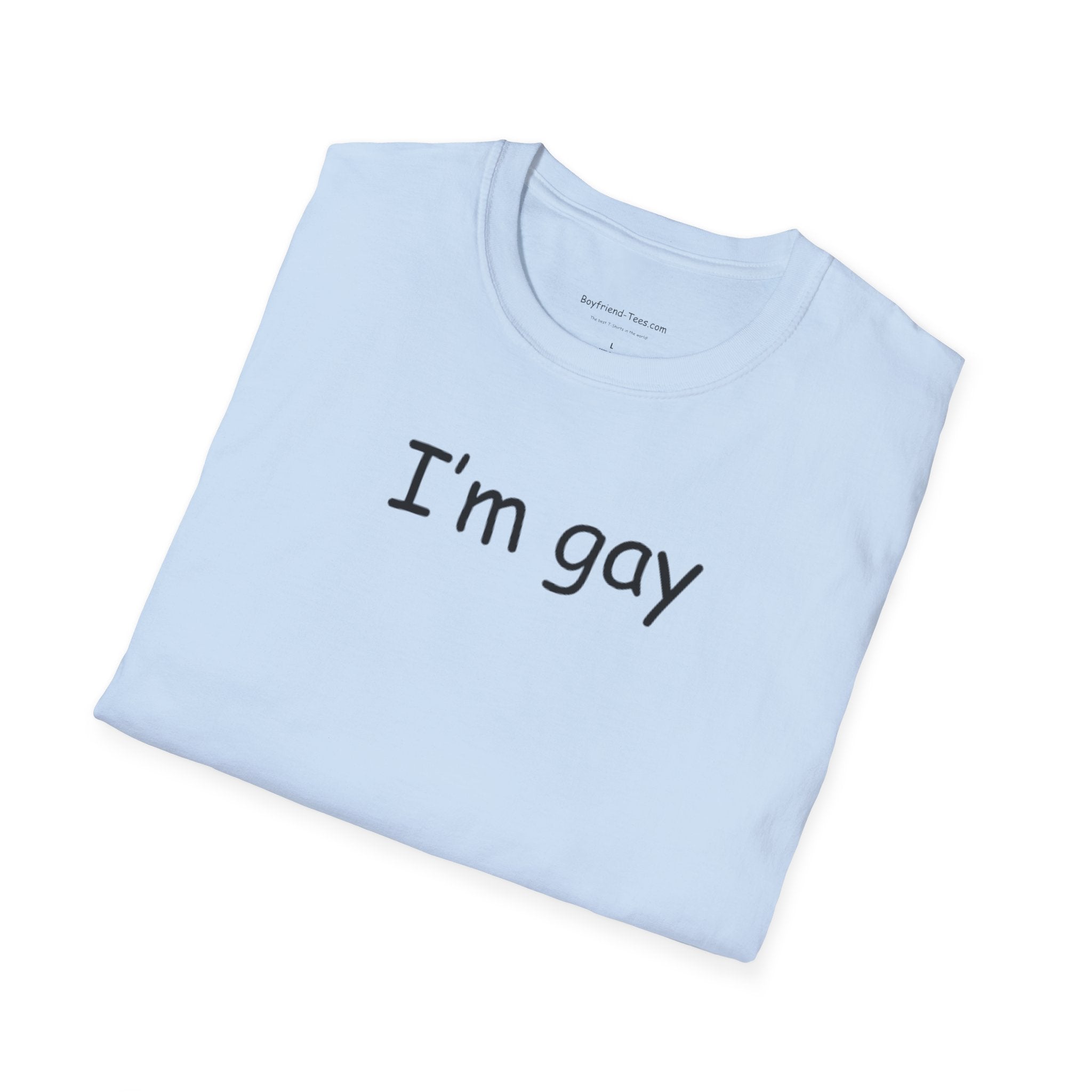 Funny "I'm Gay" Tee shirt, gag gift