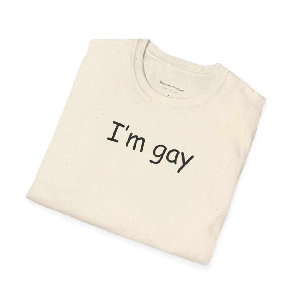 Funny "I'm Gay" Tee shirt, gag gift